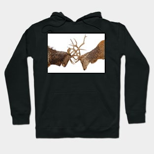 Elk Fight Hoodie